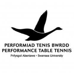 Swansea University