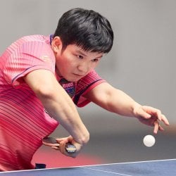 Fan Zhendong
